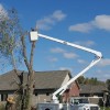 No Limits Tree Service