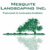 Mesquite Landscaping