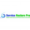 Service Restore Pro