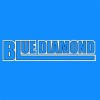 Blue Diamond Septic