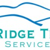 Blue Ridge Termite & Pest Services