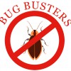 Bug Busters Pest Control