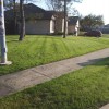 Najera Lawn Service