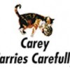 Carey Moving & Storage