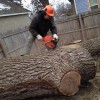 J W Johns Tree Service