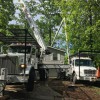 Action Tree Service