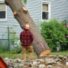 Rick's Tree & Stump Removal