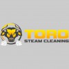 Toro Steam Cleaning