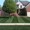 C K Lawn & Landscaping