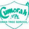 Cumorah Tree Service