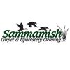 Sammamish Carpet & Upholstery Cleaning