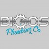 Bigo's Plumbing