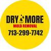 Drymore Mold Removal