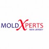 Mold Xperts