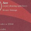 Ace Carpet & Upholstery Cleaning