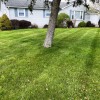 Lawn Care Masters