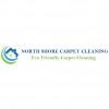 Techniclean Cleaning & Restoration Experts