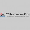 CT Restoration Experts