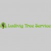 Ludivig Tree Service