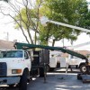 Richardson Tree Service