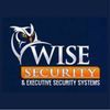 Wise Security Systems