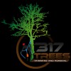 317 Trees