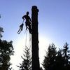 Sitkum Tree Service