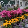 Conley's Garden Center & Landscaping