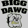 Bigg Dawg Landscaping & Services