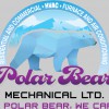 Polar Bear Mechanical