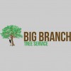 Big Branch Tree Service