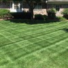 AVH Landscape Contractors