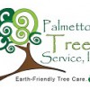 Palmetto Tree Service