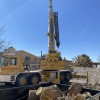 El Paso Tree Removal