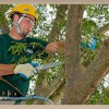 D & D Tree Services