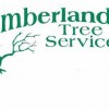 Timberland Tree Service