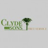 Clyde & Son's Tree Service