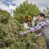 Best Waco Tree Service