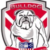 Bulldog Locksmith & Security