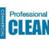 Professional Window Cleaning