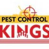 Pest Control Kings