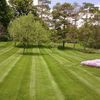 Done Right Lawns & Gardens