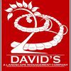 Davids Lawncare Plus