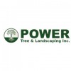 Power Tree Removal & Landscaping