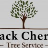 Black Cherry Tree Service