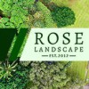 Frisco Rose Landscape