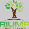 Triumph Tree Service