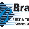 Brady Pest Termite Management