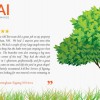 AAI Tree Service