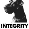 Integrity Construction Group